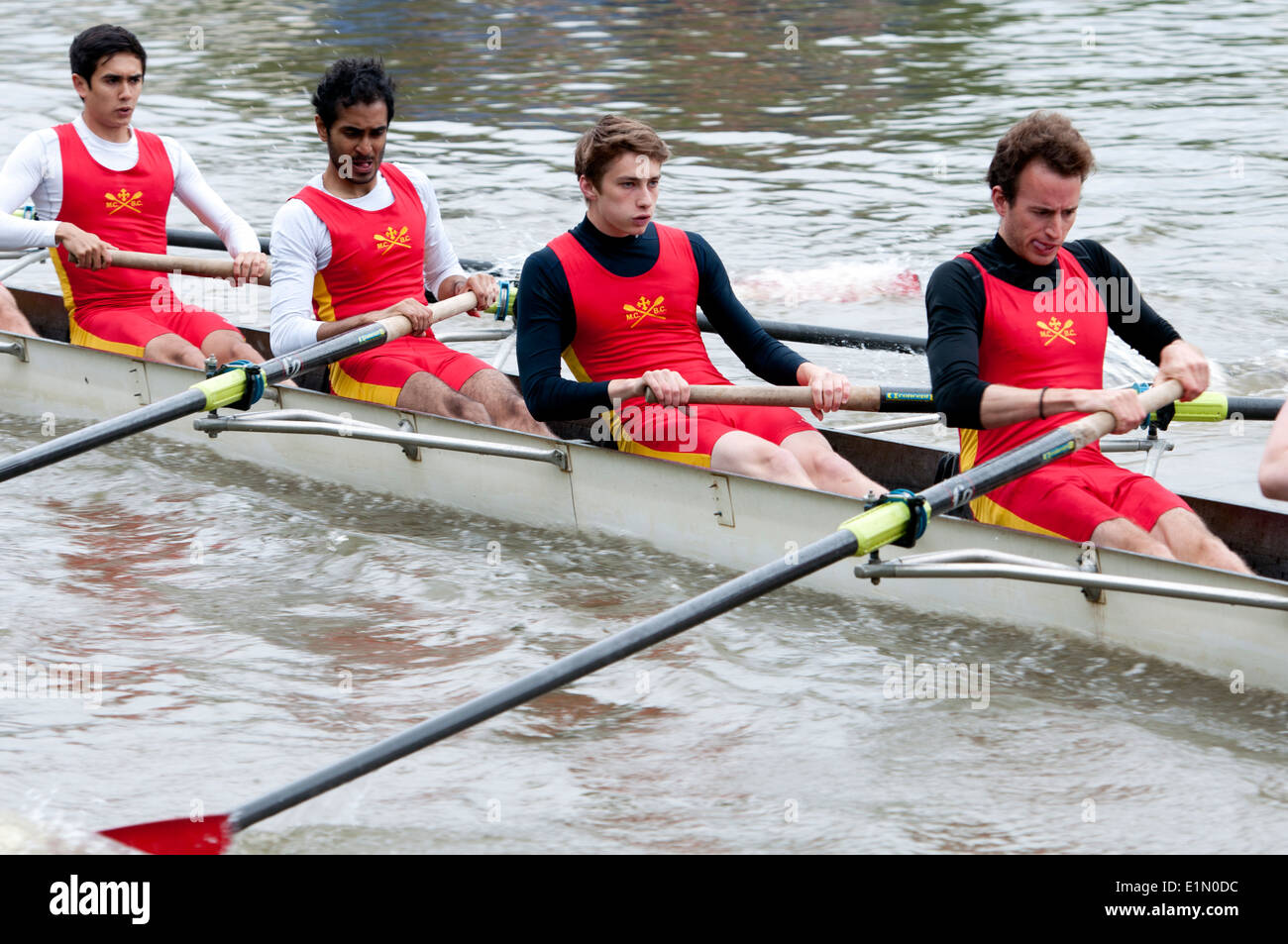 Oxford May Eights, Mansfield College men`s eight, Oxford, UK Stock Photo